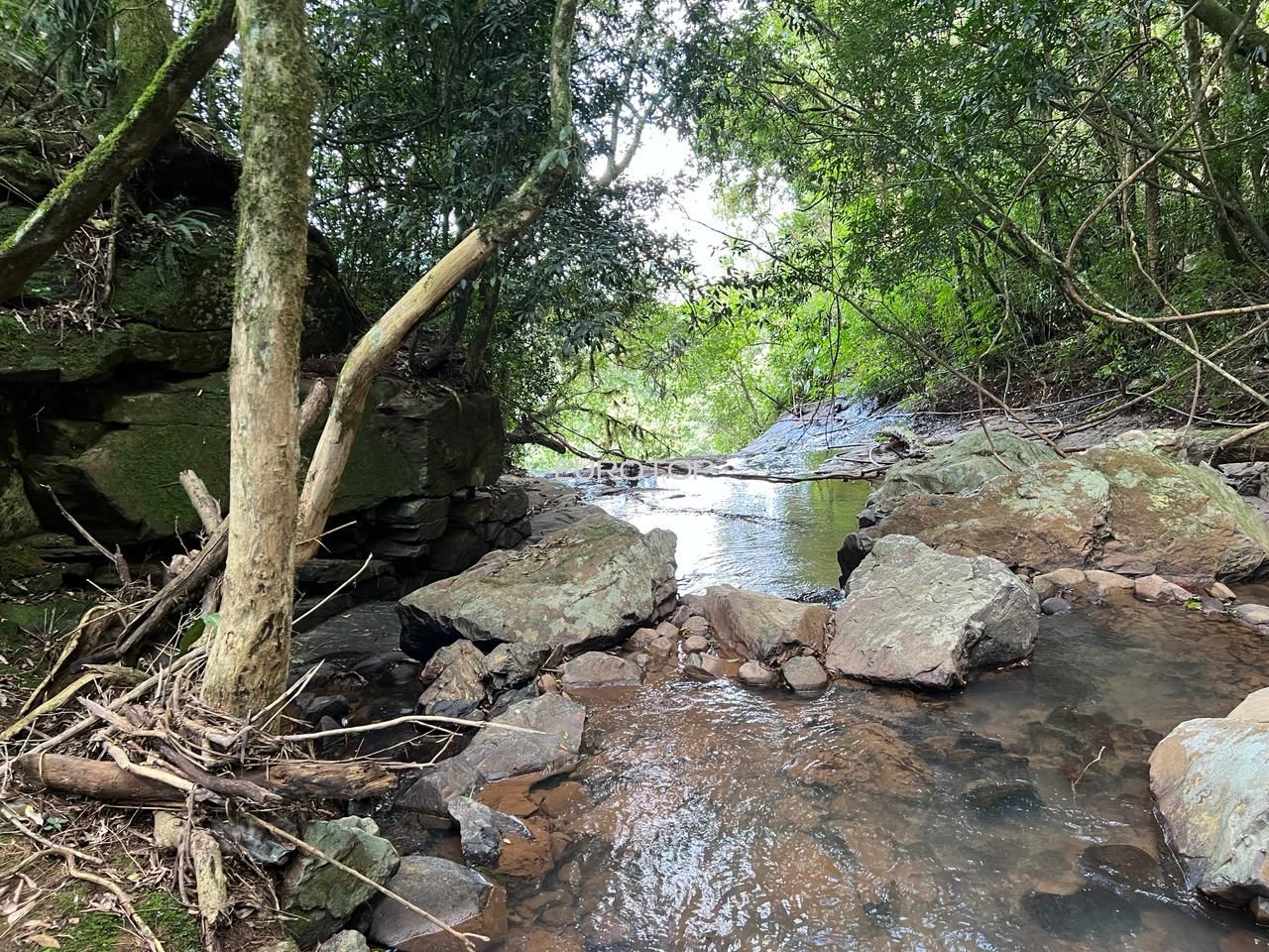 Loteamento e Condomínio à venda, 397200000m² - Foto 6