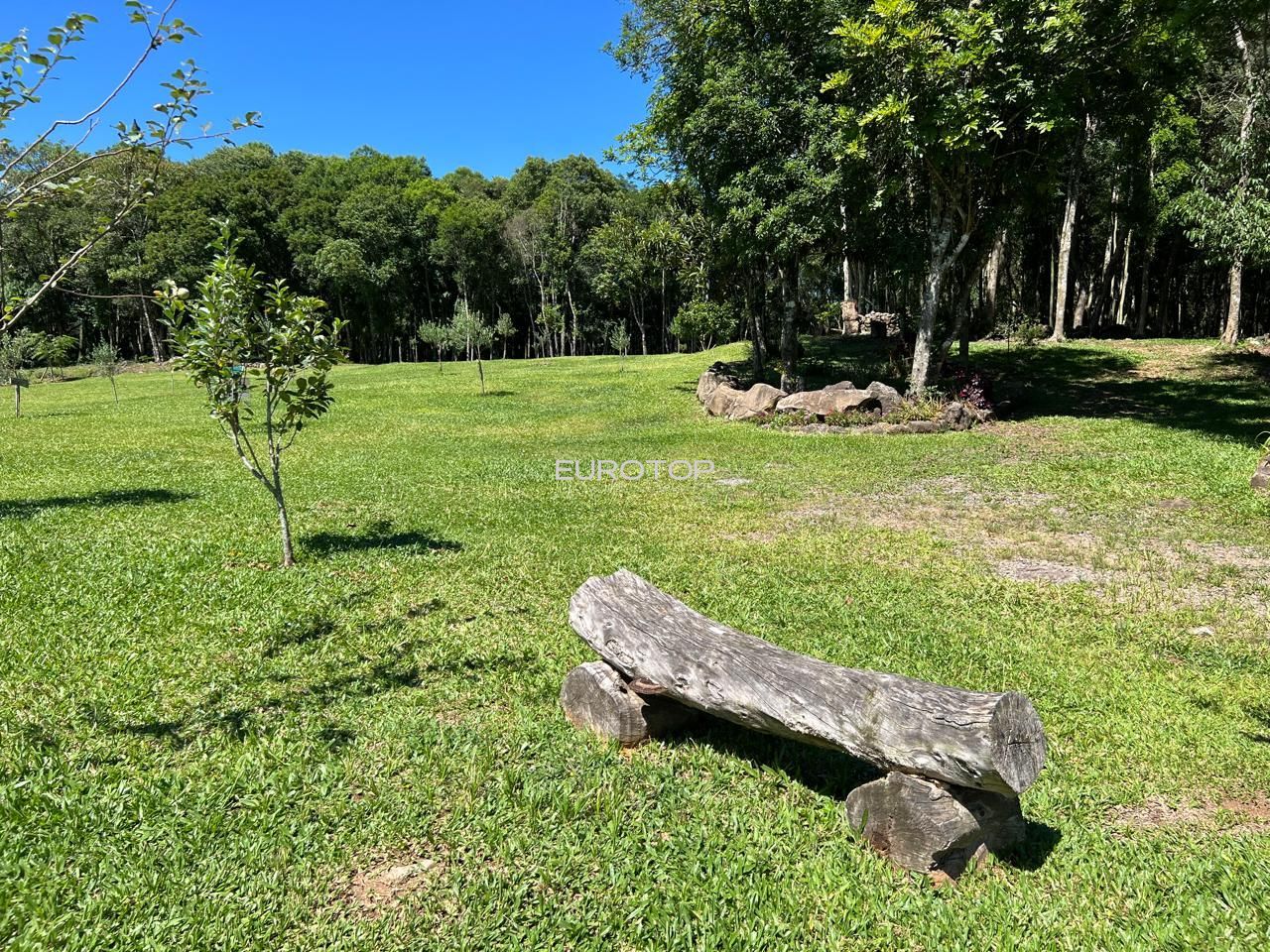 Fazenda à venda com 3 quartos, 100m² - Foto 15