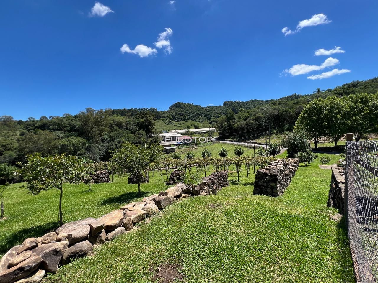 Fazenda à venda com 3 quartos, 100m² - Foto 5