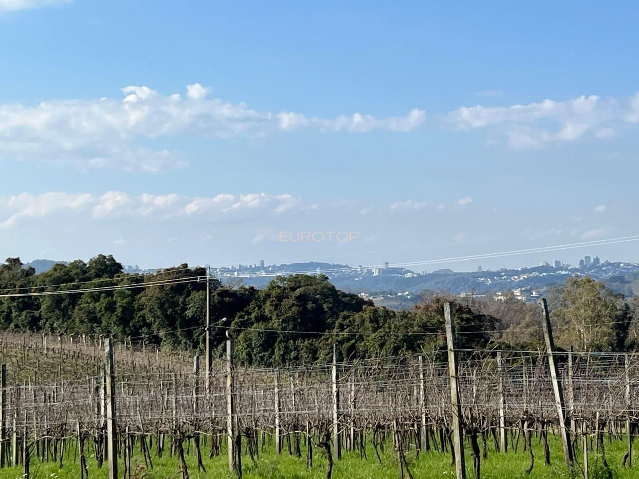 Sítio à venda, 140m² - Foto 20