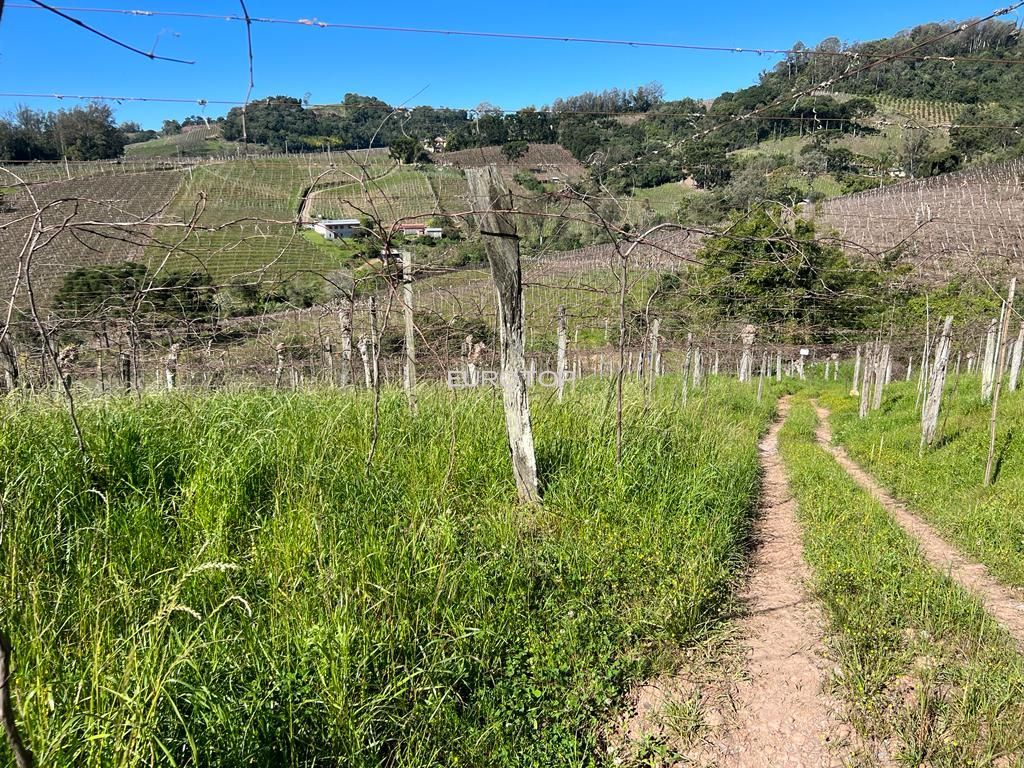 Loteamento e Condomínio à venda, 144m² - Foto 30