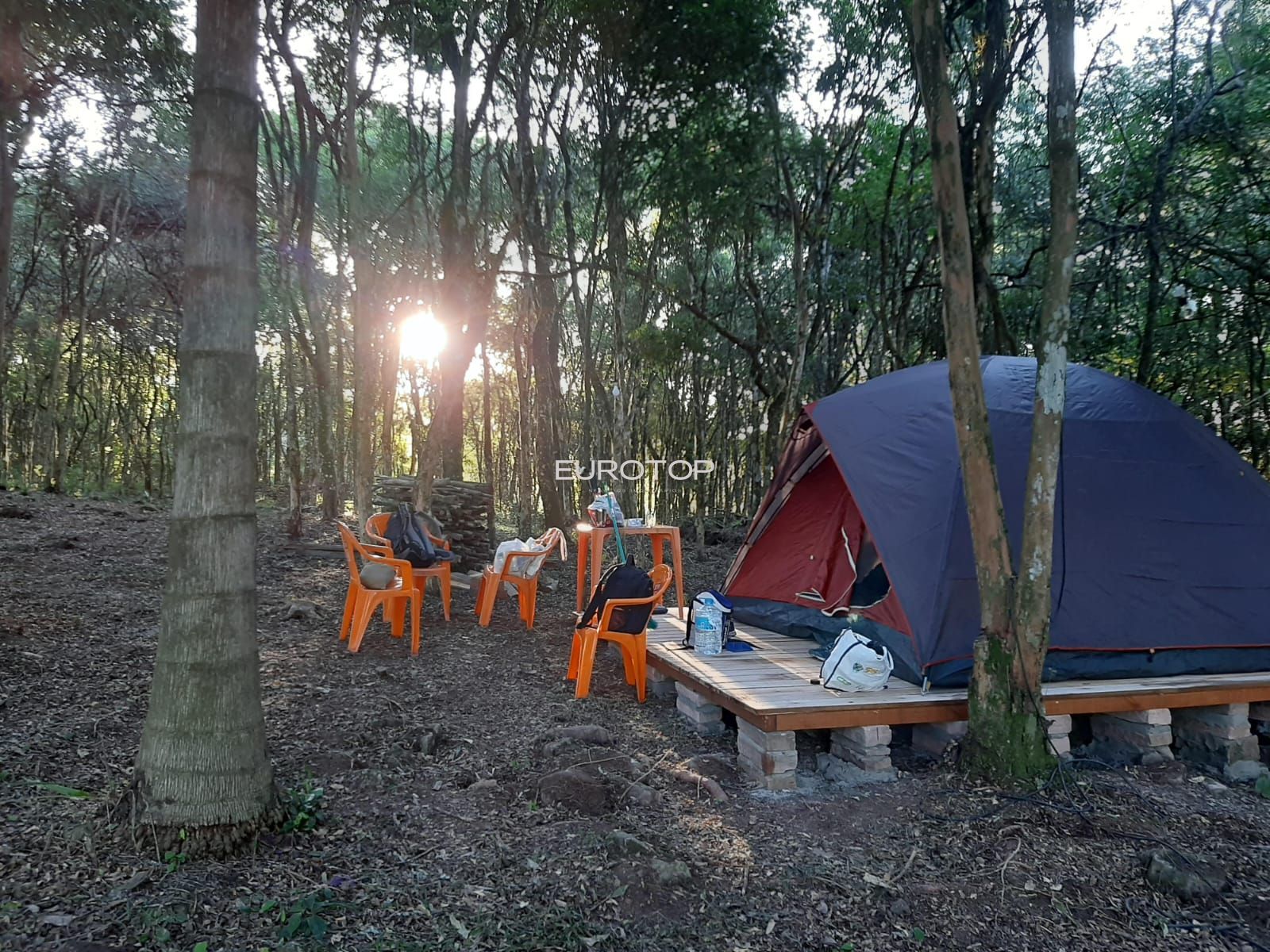 Fazenda à venda com 3 quartos, 100m² - Foto 31