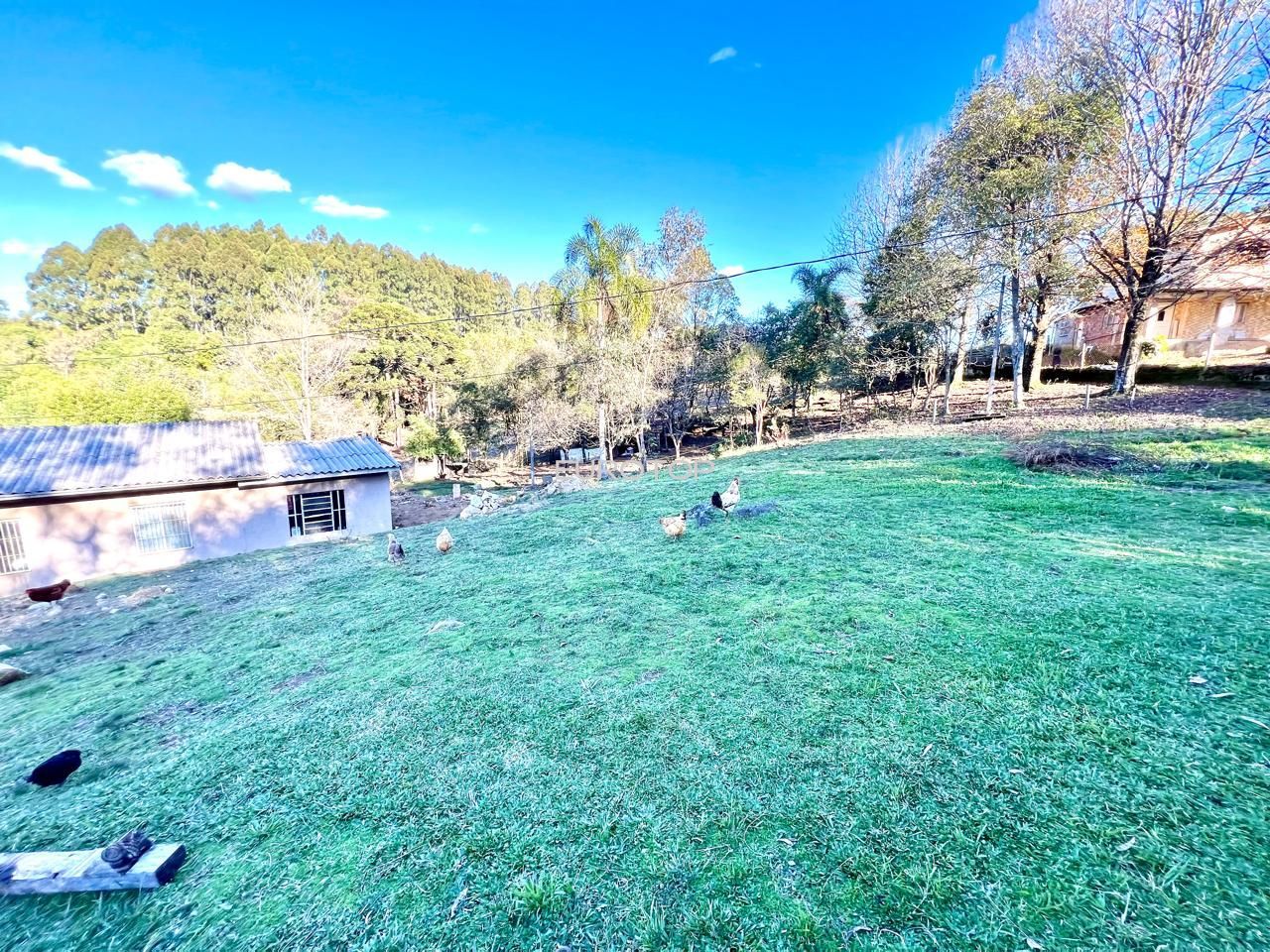 Fazenda à venda com 4 quartos, 190m² - Foto 21