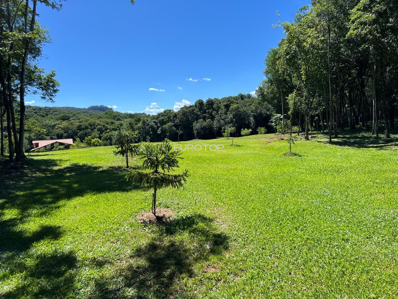 Fazenda à venda com 3 quartos, 100m² - Foto 27