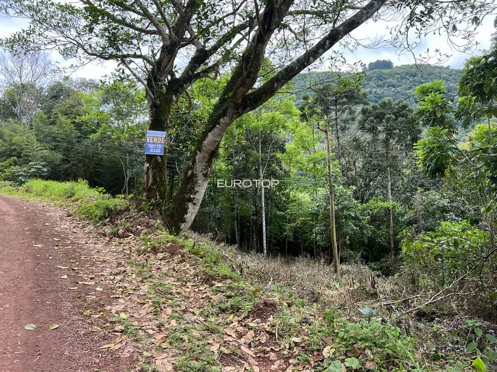 Loteamento e Condomínio, 12 hectares - Foto 3