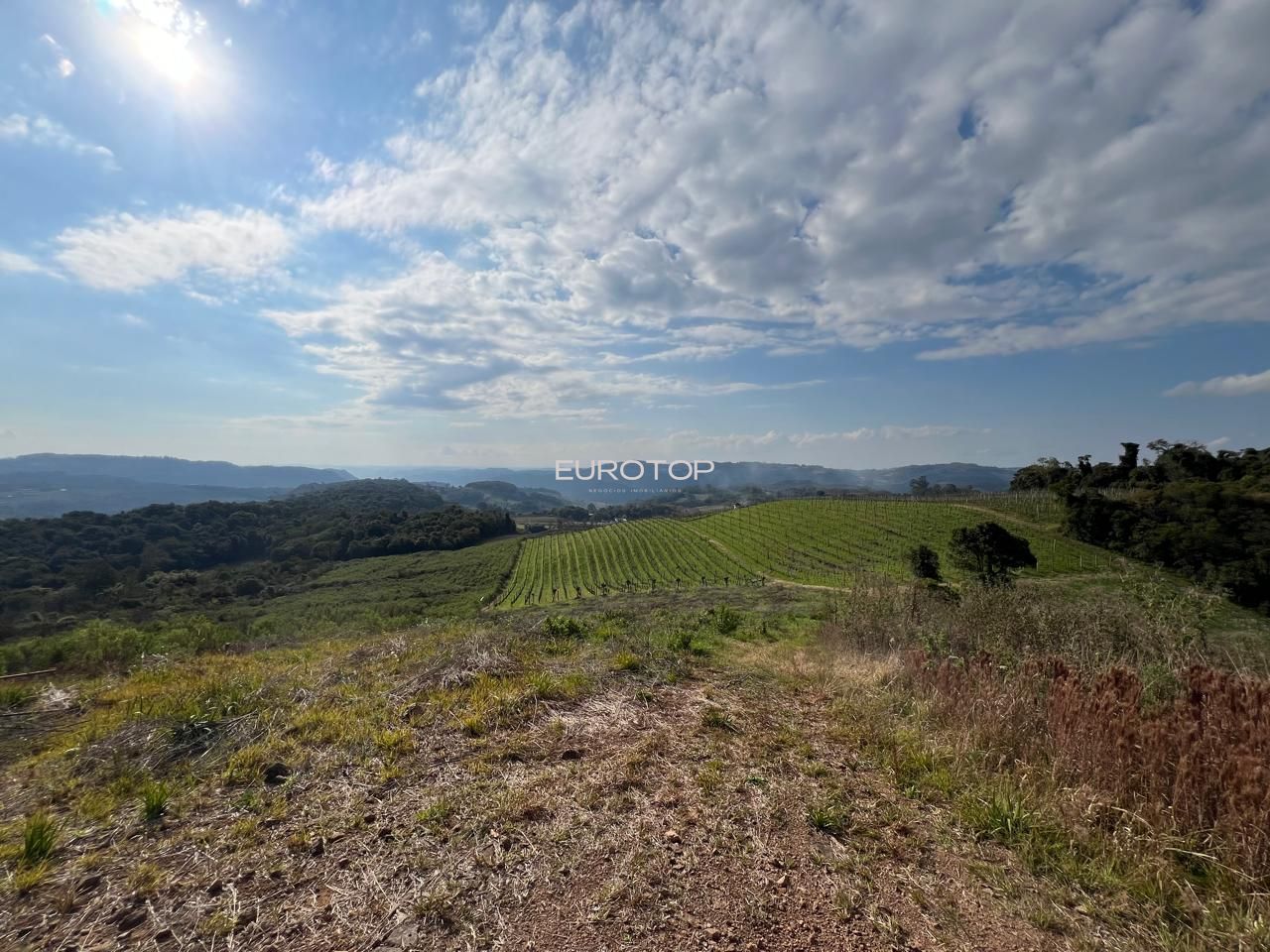 Sítio à venda, 140m² - Foto 18