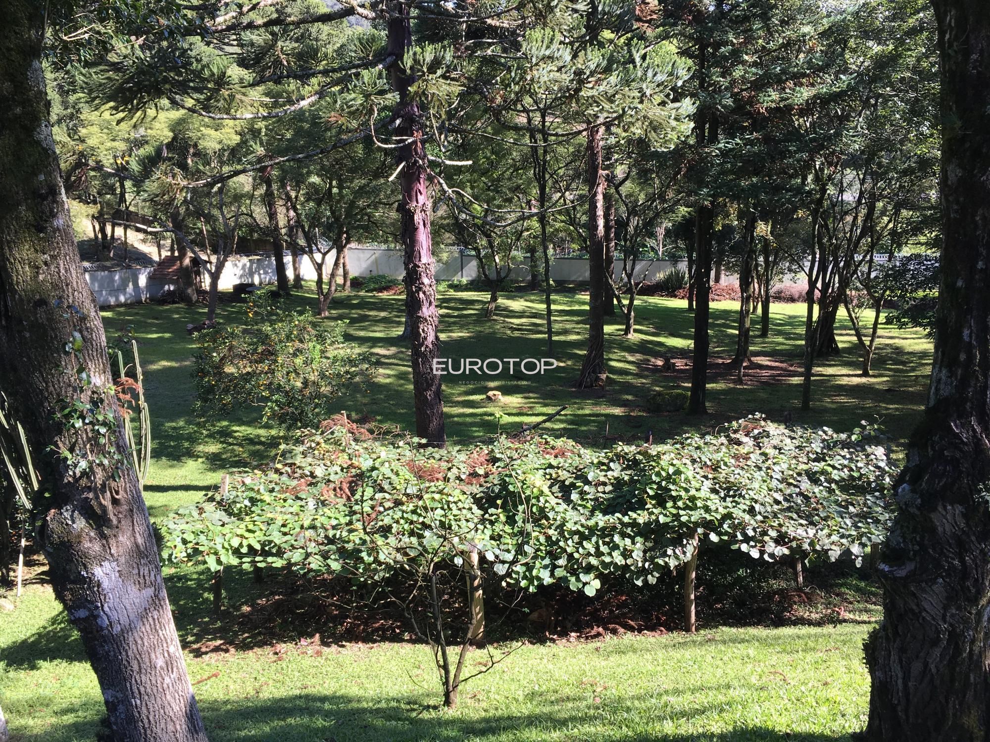 Casa à venda com 4 quartos, 700m² - Foto 42