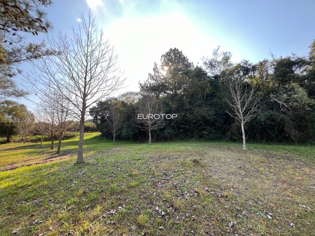 Sítio à venda, 140m² - Foto 14