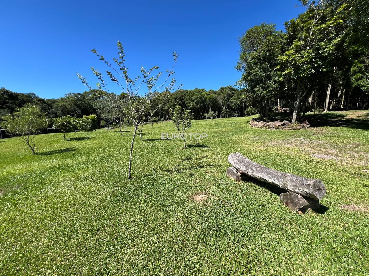 Fazenda à venda com 3 quartos, 100m² - Foto 30