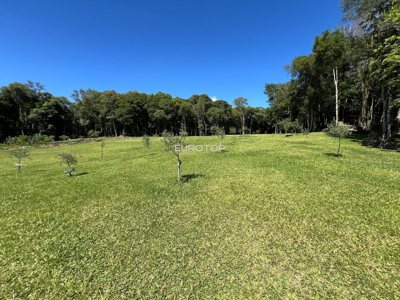 Fazenda à venda com 3 quartos, 100m² - Foto 24