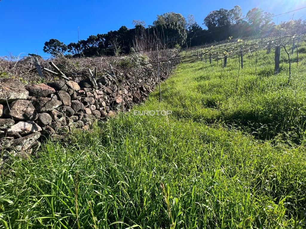 Loteamento e Condomínio à venda, 144m² - Foto 23