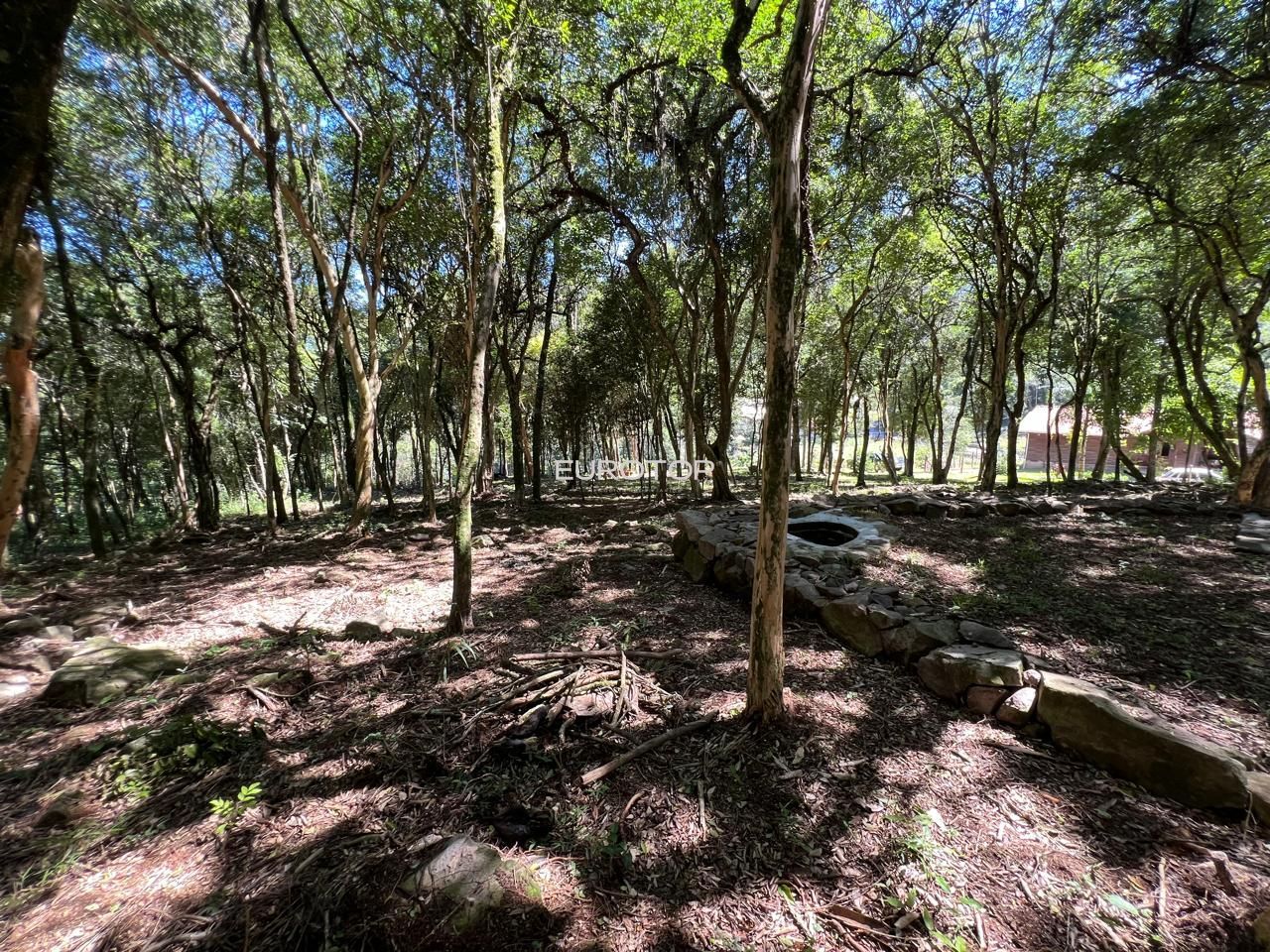 Fazenda à venda com 3 quartos, 100m² - Foto 33