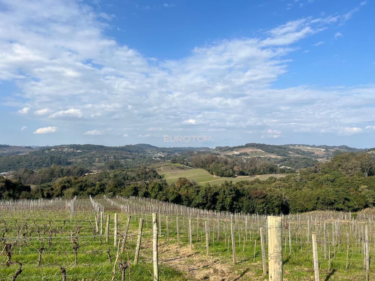 Sítio à venda, 140m² - Foto 23