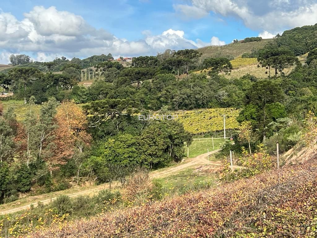 Terreno comercial  venda  no Zona Rural - Pinto Bandeira, RS. Imveis