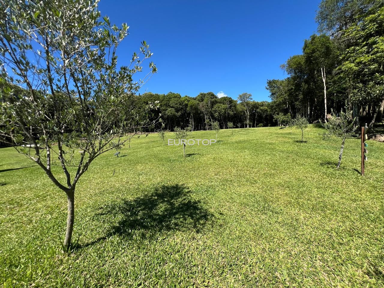 Fazenda à venda com 3 quartos, 100m² - Foto 7