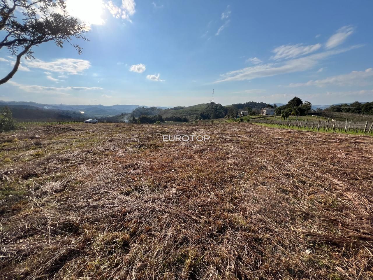 Fazenda/sítio/chácara/haras à venda  no Vale dos Vinhedos - Bento Gonçalves, RS. Imóveis