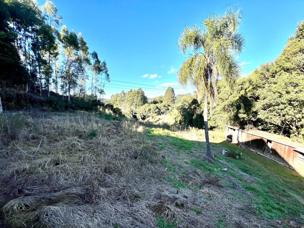 Fazenda à venda com 4 quartos, 190m² - Foto 18