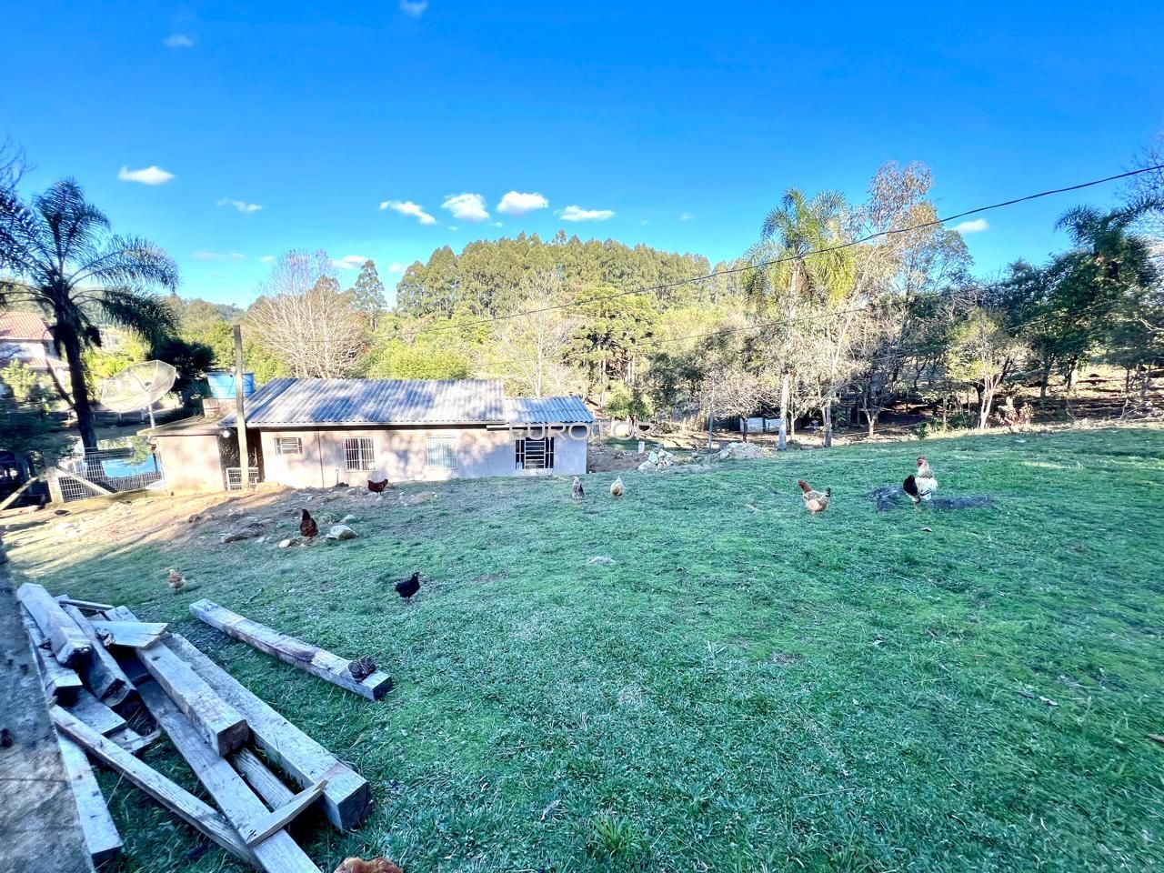 Fazenda à venda com 4 quartos, 190m² - Foto 20