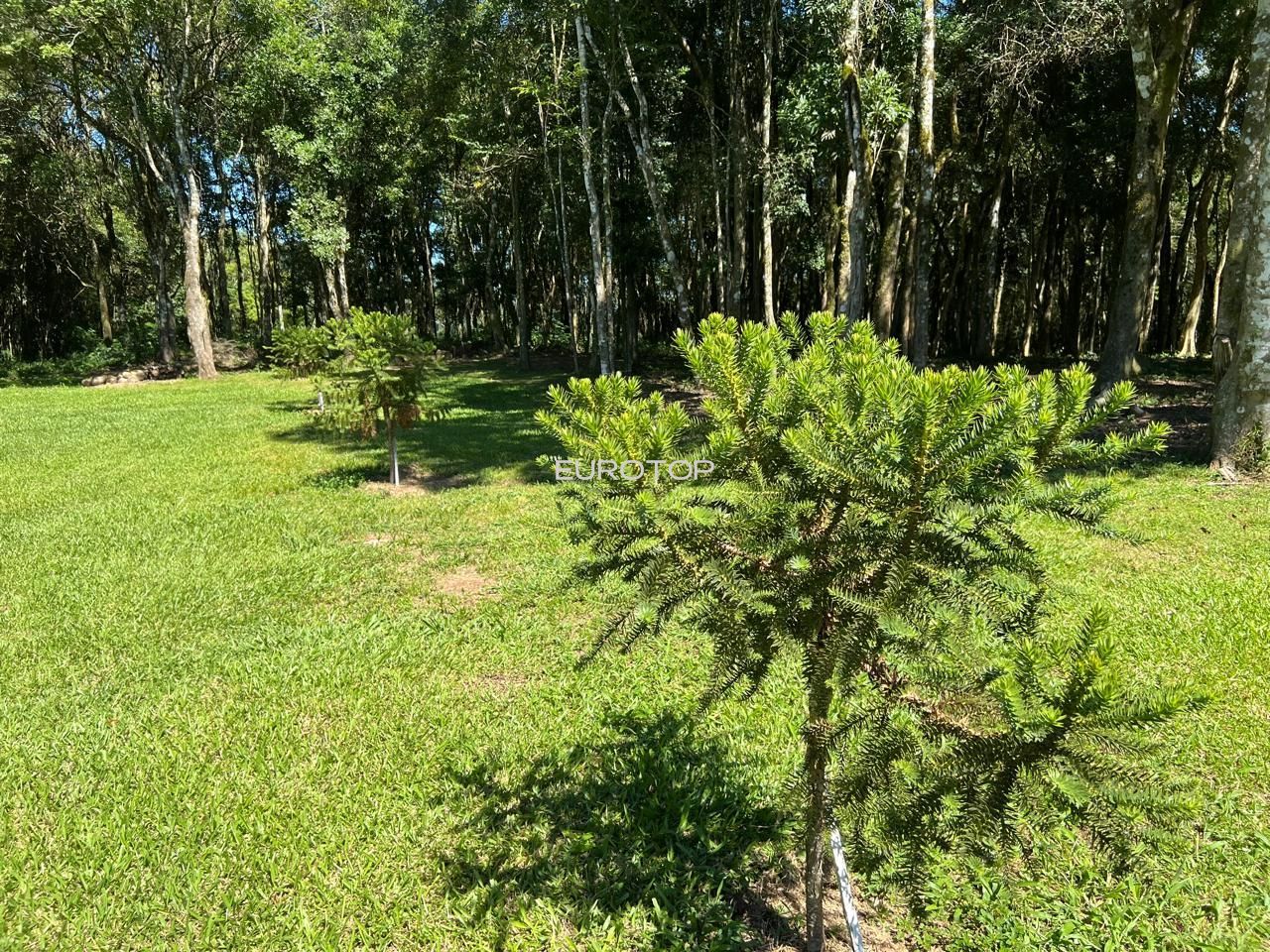 Fazenda à venda com 3 quartos, 100m² - Foto 13