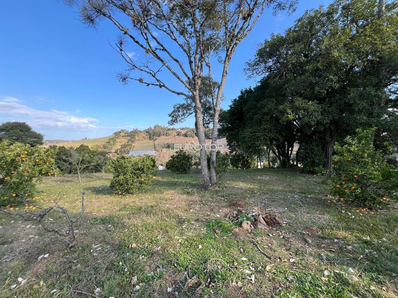 Sítio à venda, 140m² - Foto 27