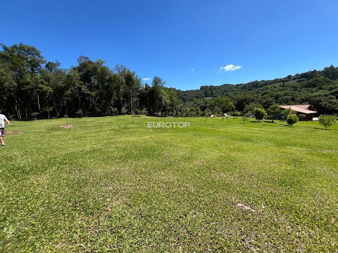 Fazenda à venda com 3 quartos, 100m² - Foto 8