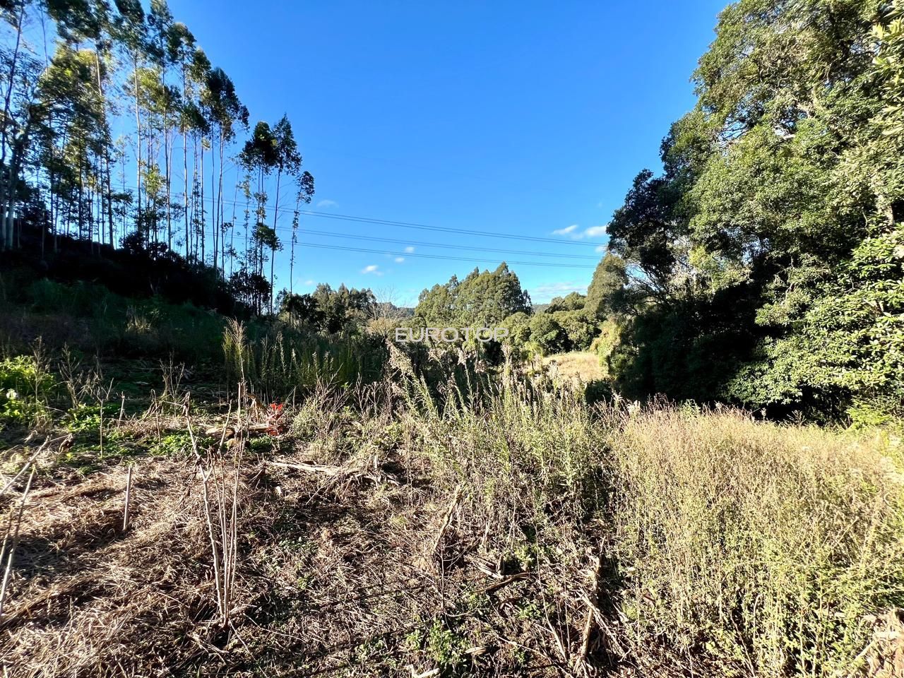 Fazenda à venda com 4 quartos, 190m² - Foto 17
