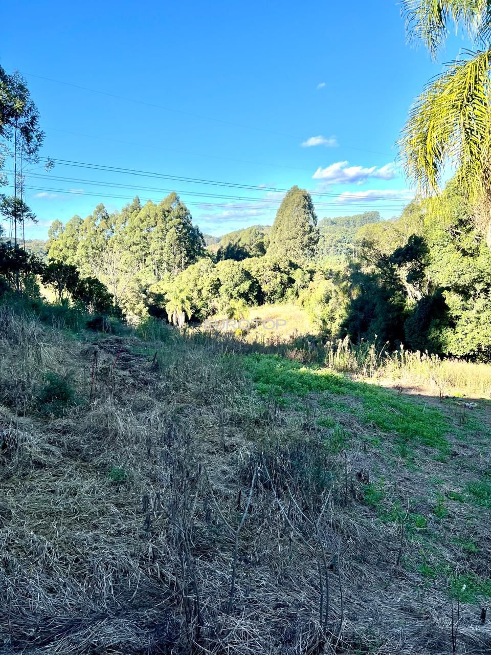 Fazenda à venda com 4 quartos, 190m² - Foto 19