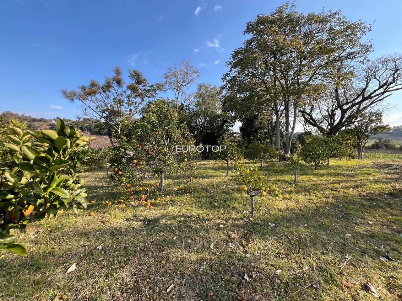 Sítio à venda, 140m² - Foto 15