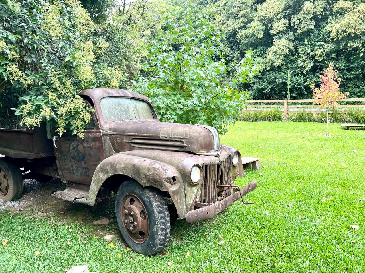 Sítio, 5276 m² - Foto 10