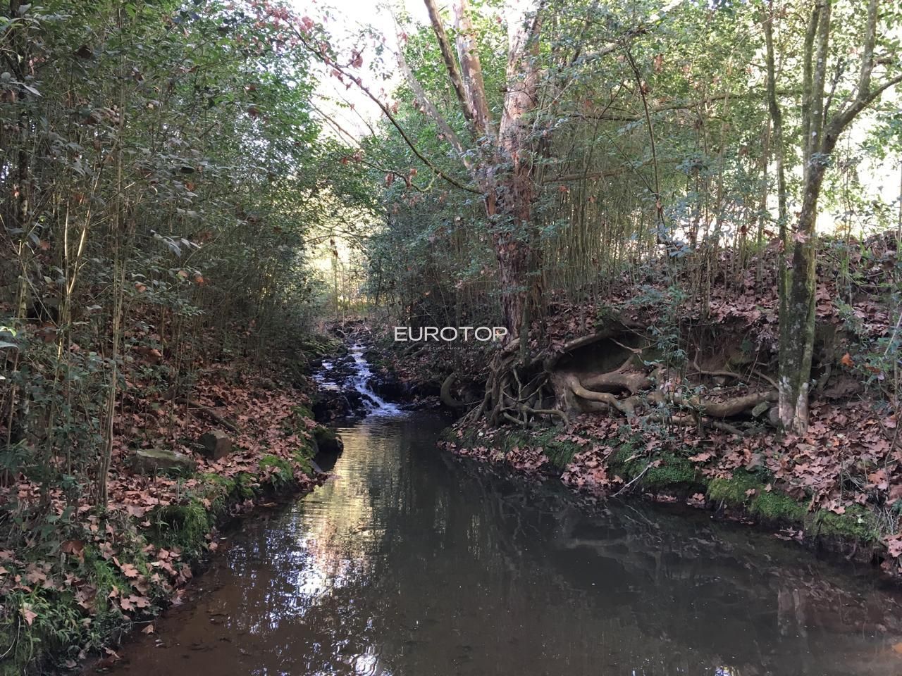 Sítio, 5276 m² - Foto 23