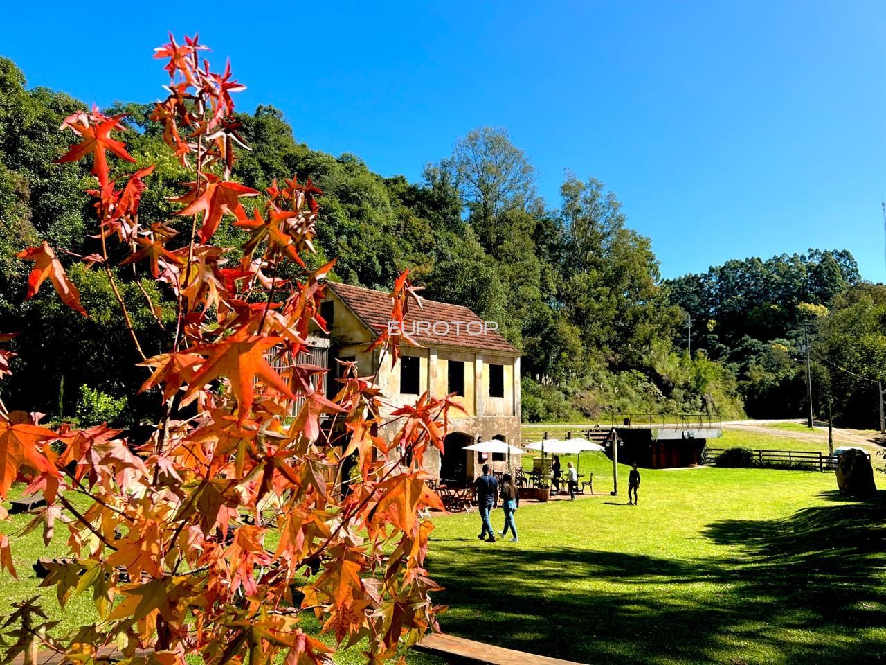 Prédio Inteiro, 373 m² - Foto 21