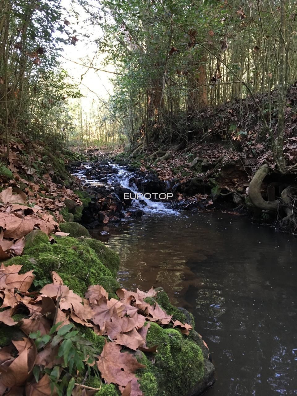 Prédio Inteiro, 373 m² - Foto 22