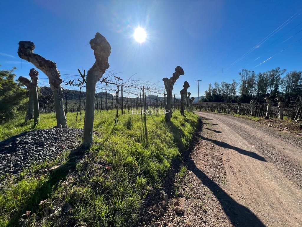 Terreno comercial  venda  no Zona Rural - Monte Belo do Sul, RS. Imveis