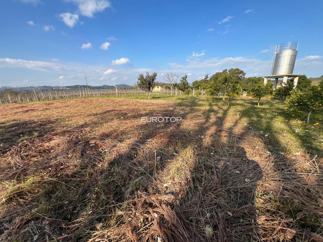Sítio à venda, 140m² - Foto 30