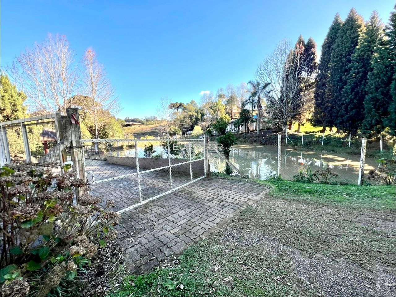 Fazenda à venda com 4 quartos, 190m² - Foto 14