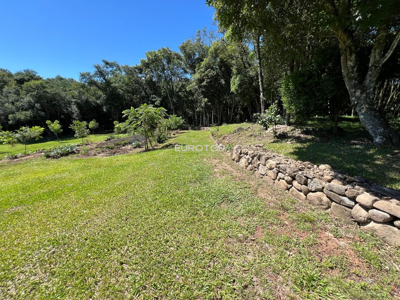 Fazenda à venda com 3 quartos, 100m² - Foto 28