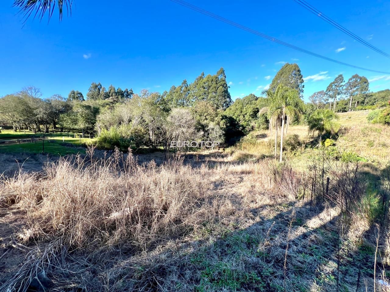 Fazenda à venda com 4 quartos, 190m² - Foto 16
