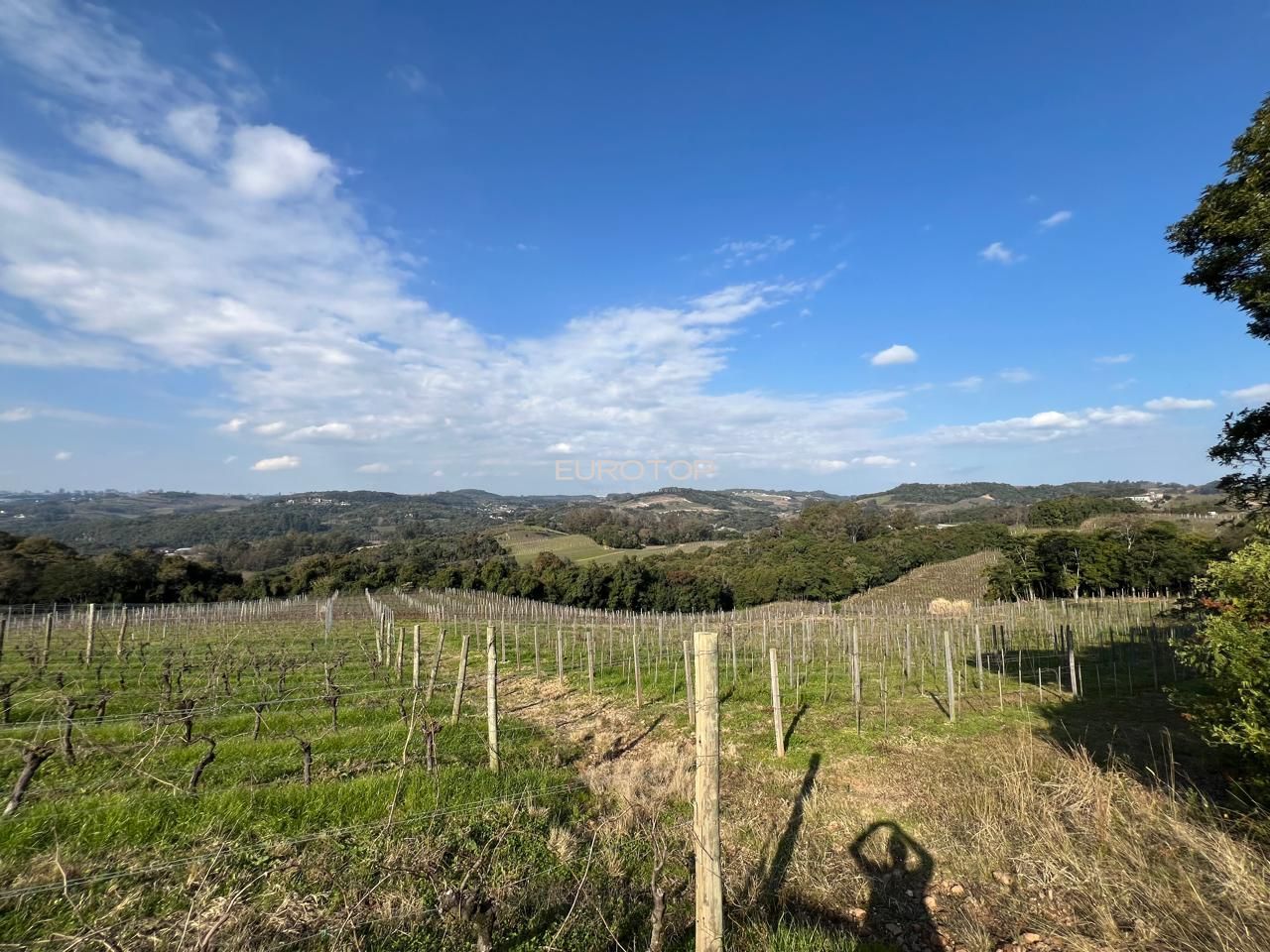 Sítio à venda, 140m² - Foto 33