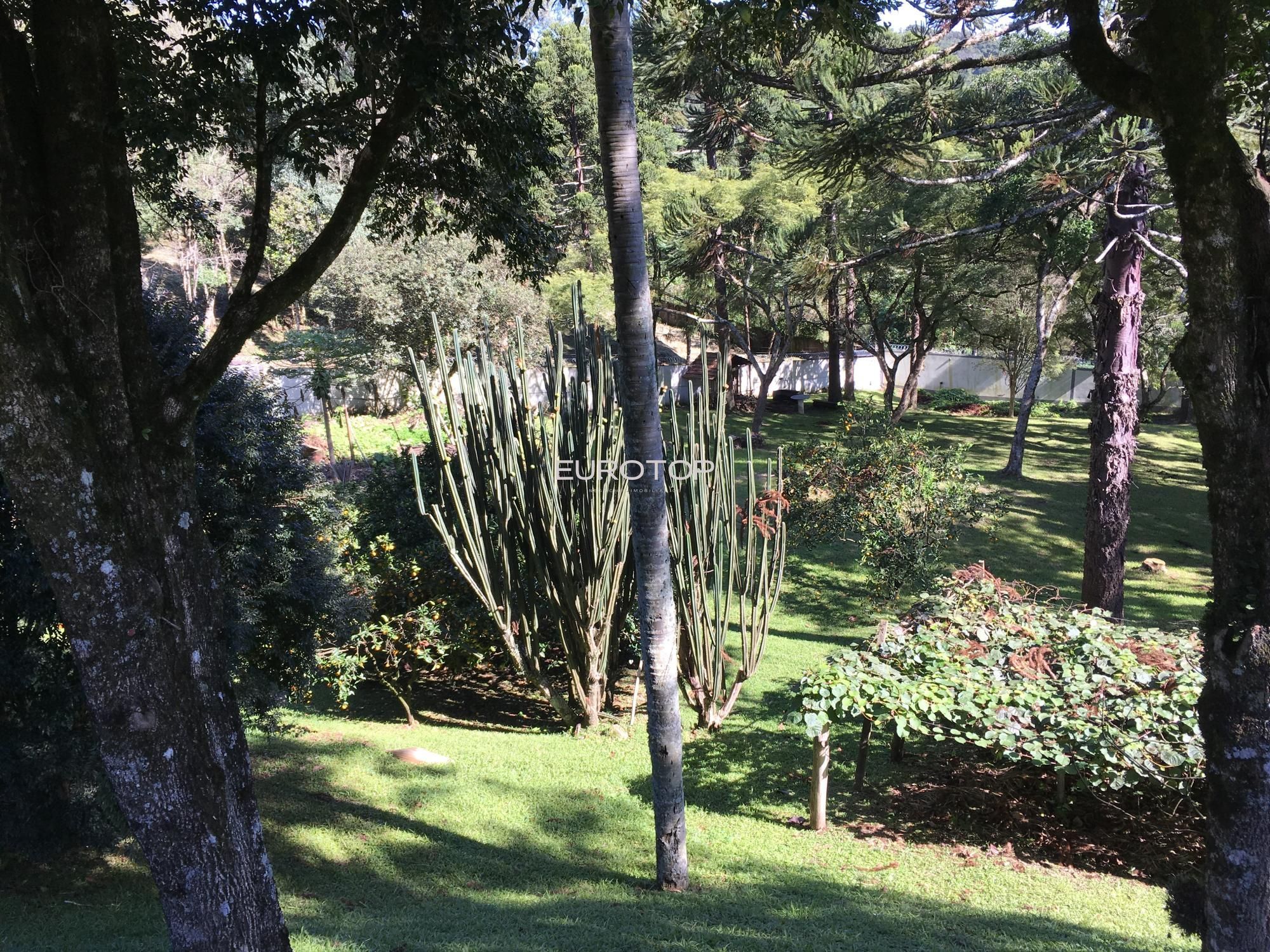Casa à venda com 4 quartos, 700m² - Foto 41