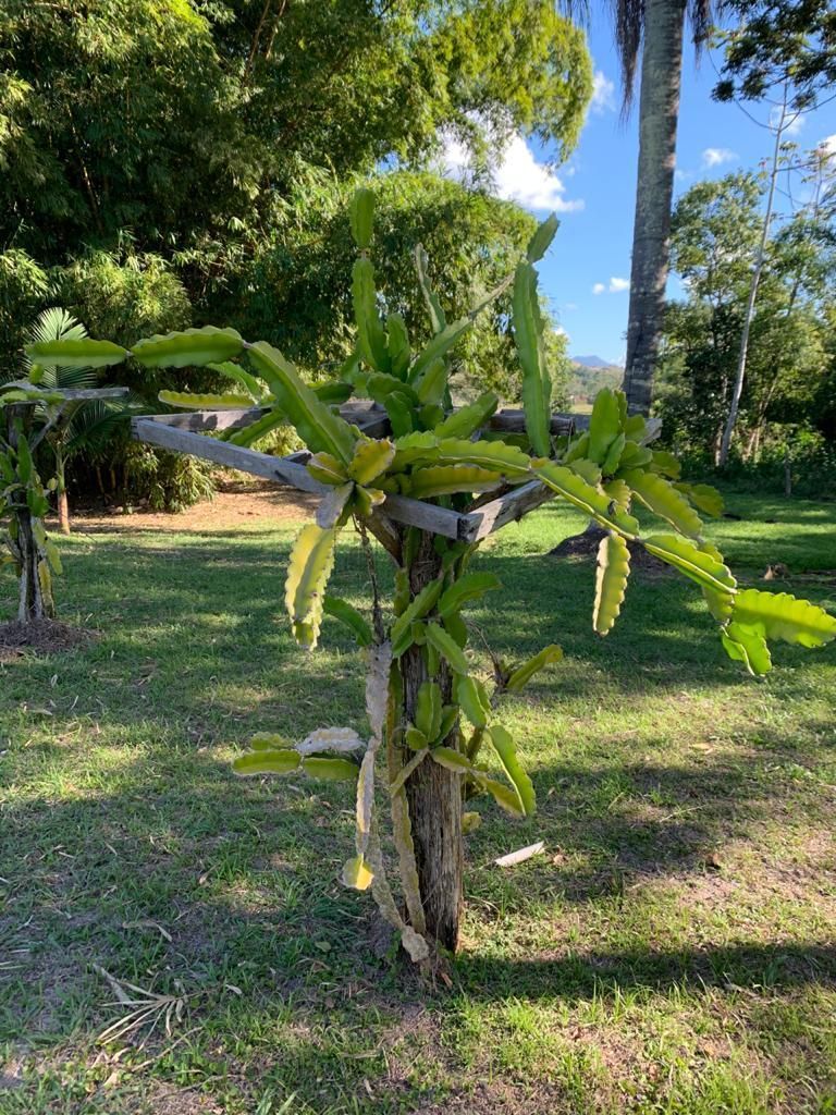 Fazenda à venda, 200m² - Foto 46