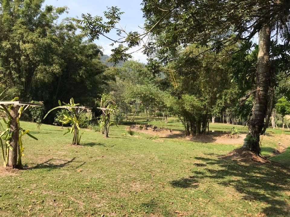 Sítio à venda, 200m² - Foto 29