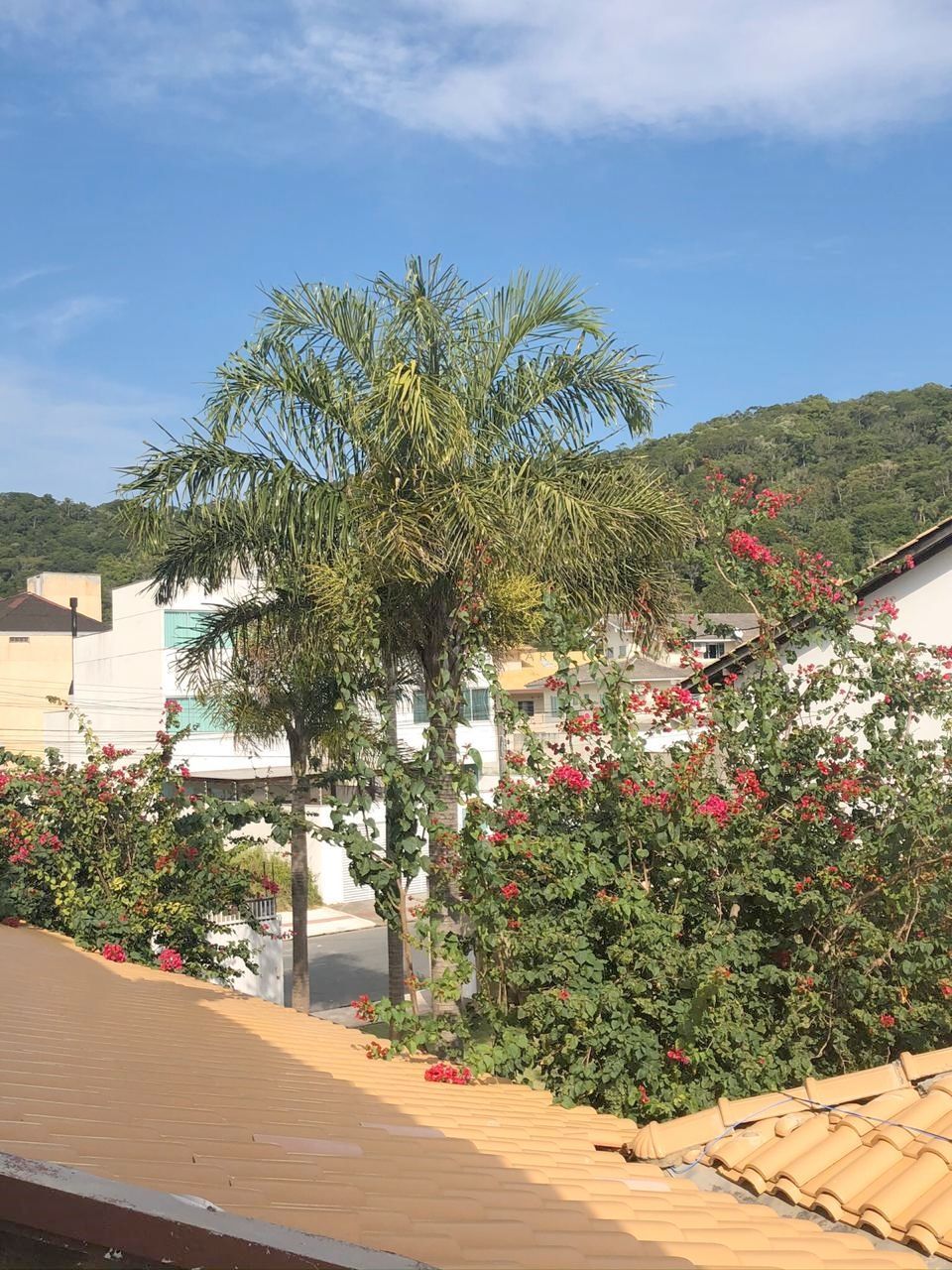 Casa, 5 quartos, 700 m² - Foto 57