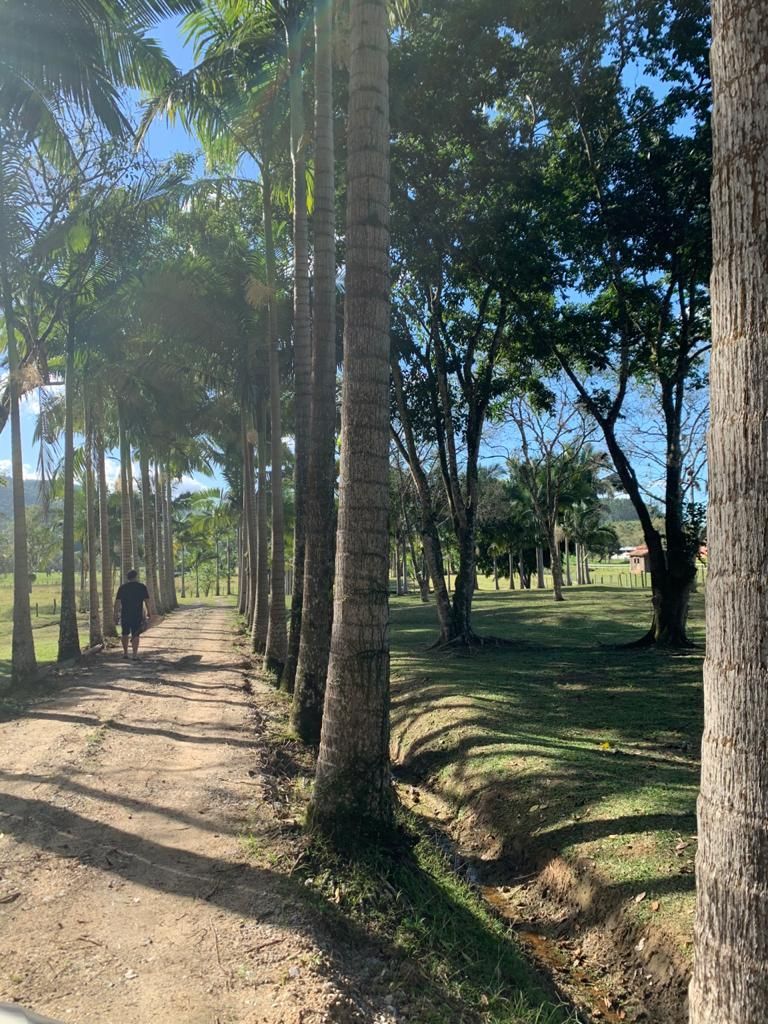 Sítio à venda, 200m² - Foto 36