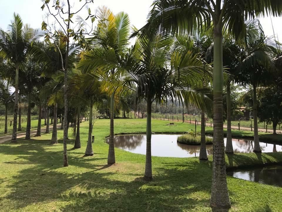 Sítio à venda, 200m² - Foto 20
