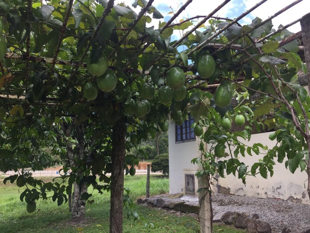 Sítio à venda, 200m² - Foto 48