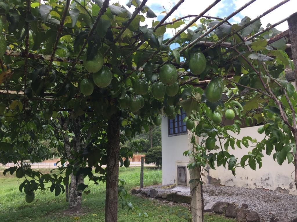 Fazenda à venda, 200m² - Foto 48