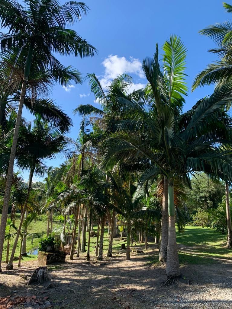 Fazenda à venda, 200m² - Foto 45