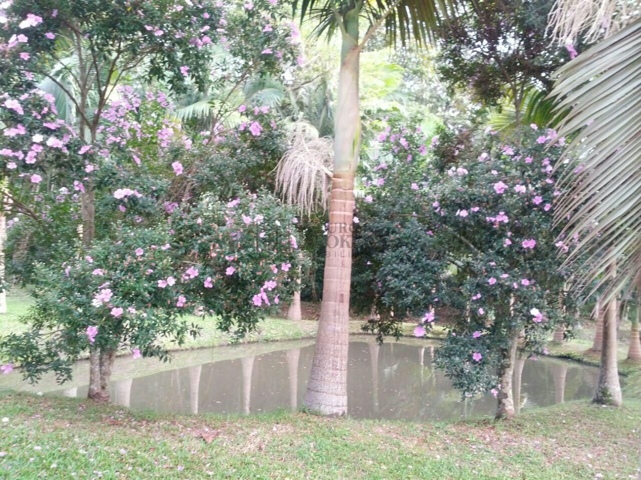Sítio à venda, 200m² - Foto 35