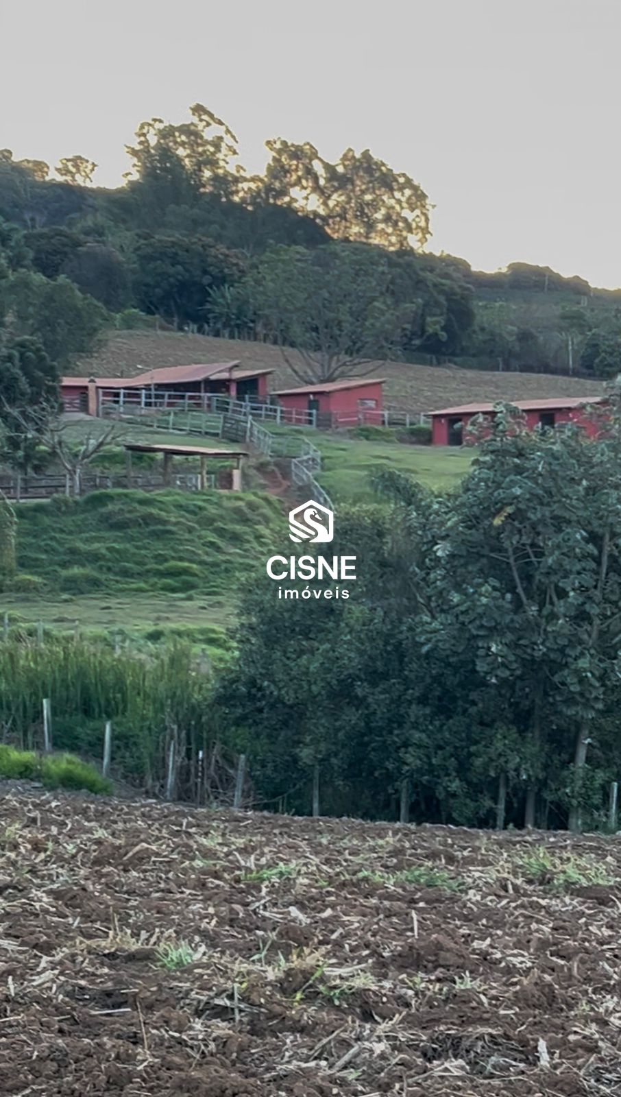Chácara, 6 hectares - Foto 10