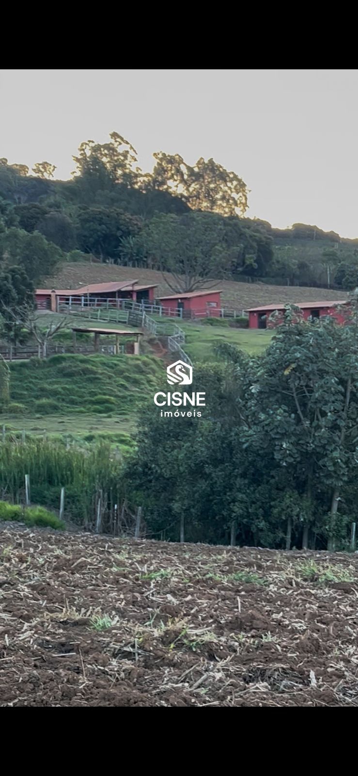 Chácara, 6 hectares - Foto 6
